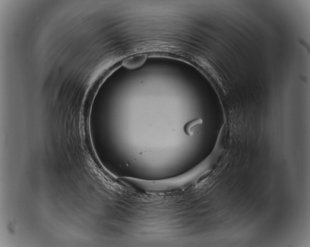X0000100951072200806241458