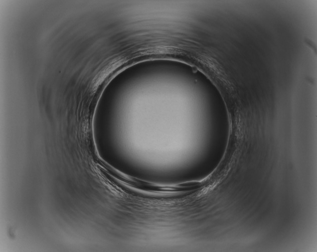 X0000100951073200806241458