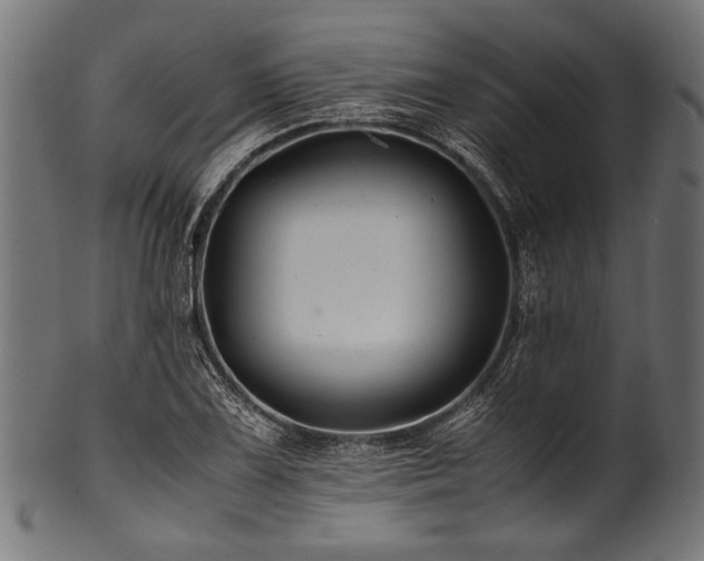 X0000100951075200806241458