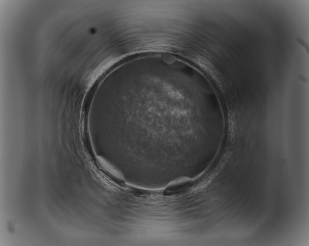 X0000100951077200806241458