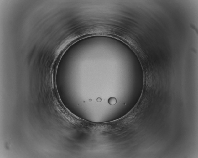X0000100951078200806241458