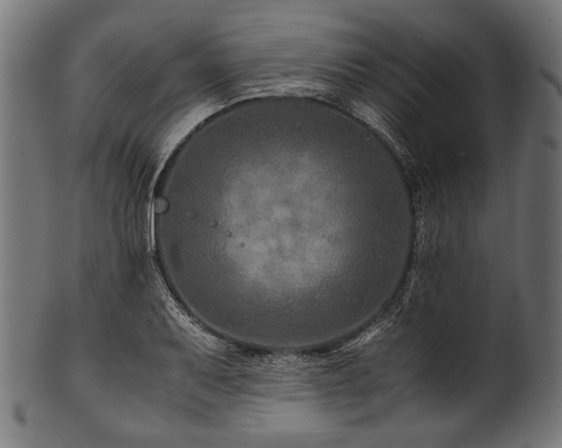 X0000100951079200806241458