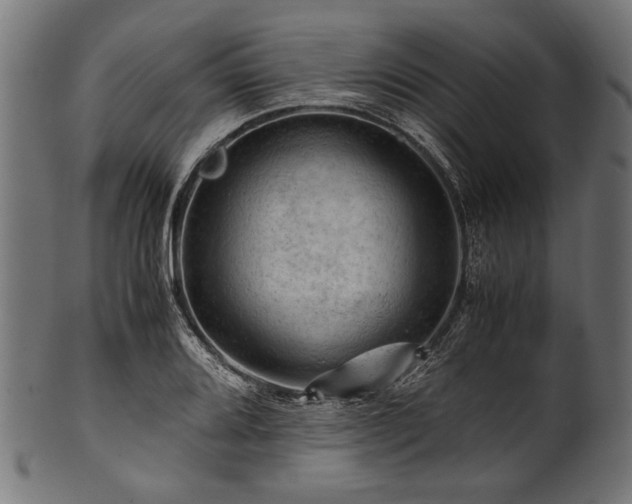 X0000100951080200806241458