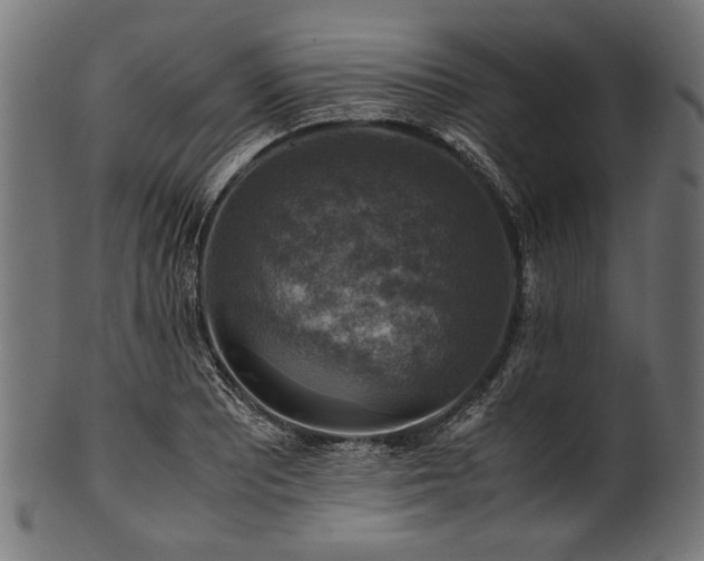 X0000100951081200806241458
