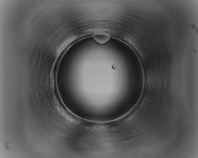 X0000100951082200806241457