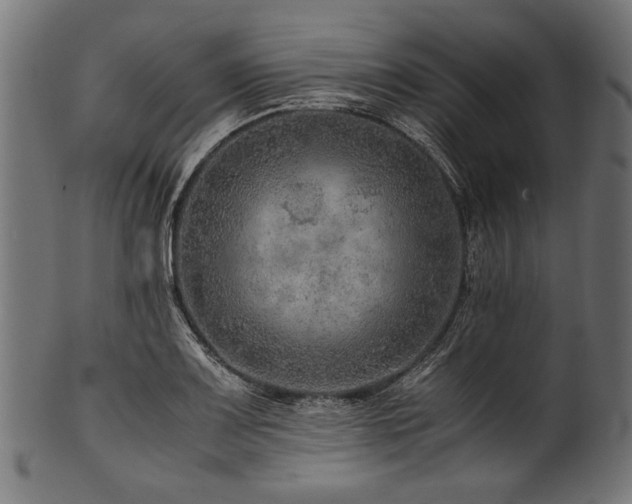 X0000100951083200806241457