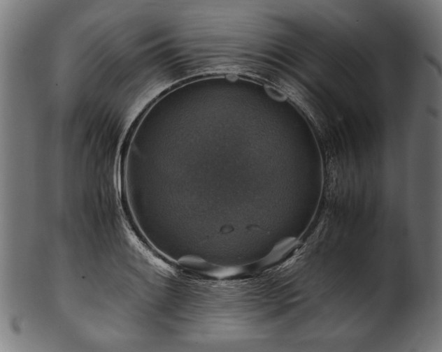 X0000100951084200806241457