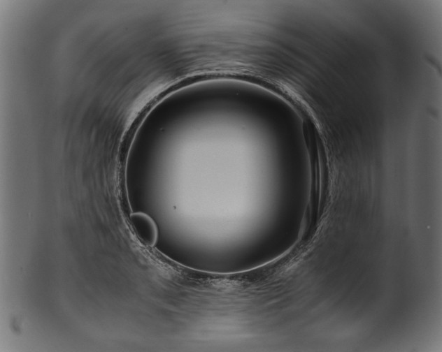 X0000100951085200806241457