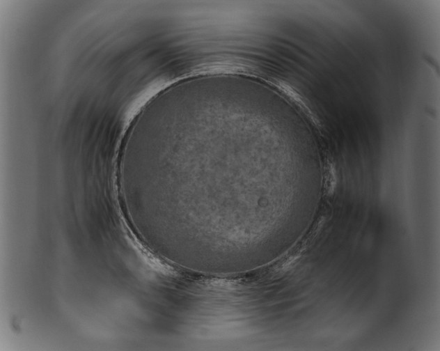 X0000100951086200806241457