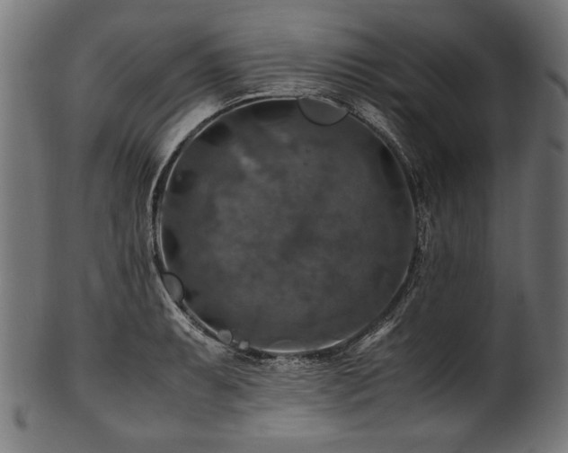 X0000100951087200806241457