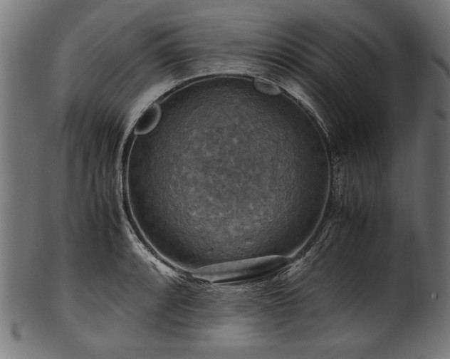 X0000100951088200806241457