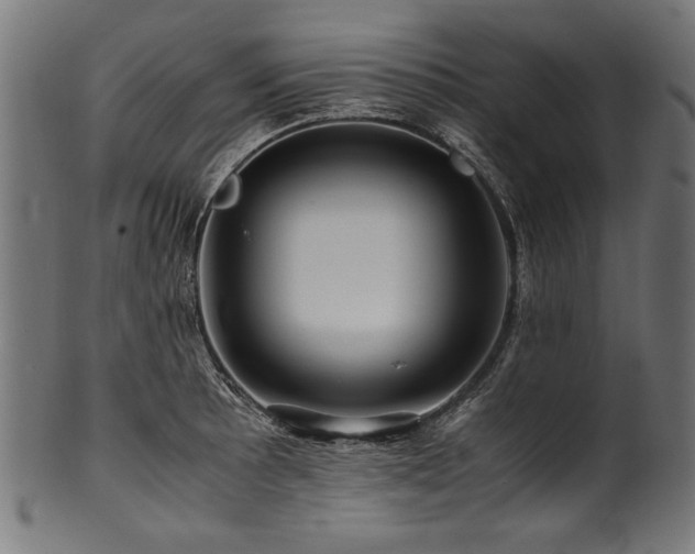 X0000100951089200806241457