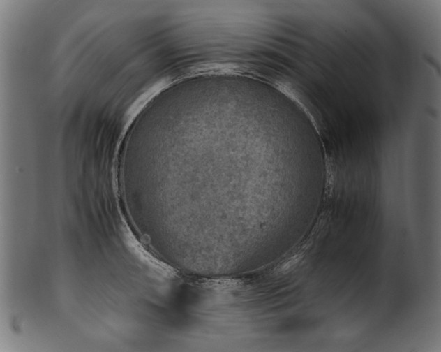 X0000100951090200806241457