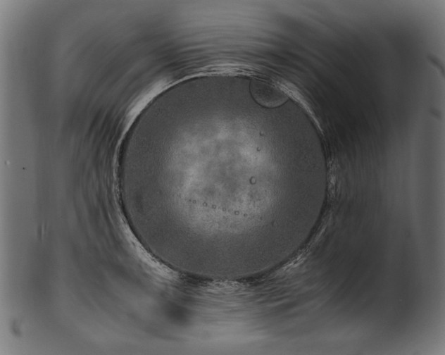 X0000100951091200806241457