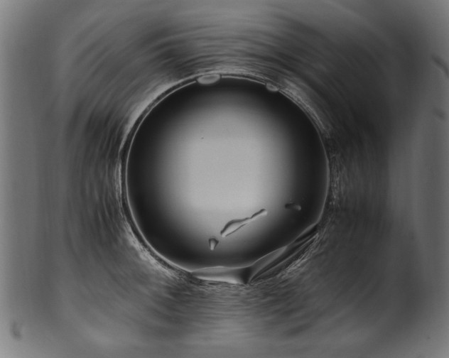 X0000100951092200806241457