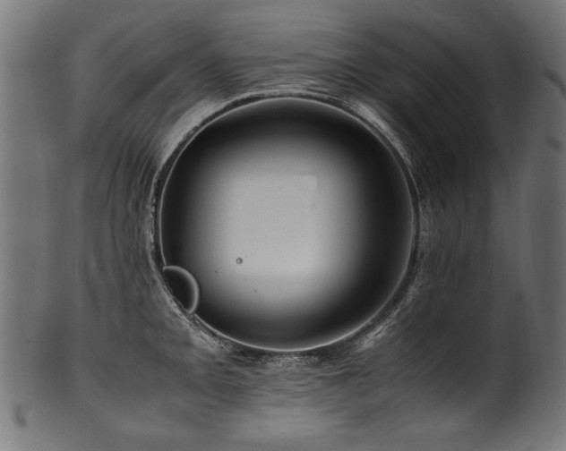 X0000100951093200806241457