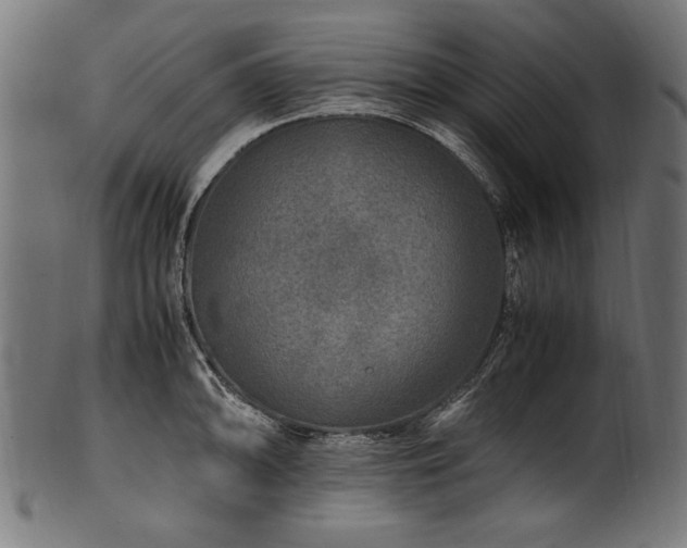 X0000100951094200806241457