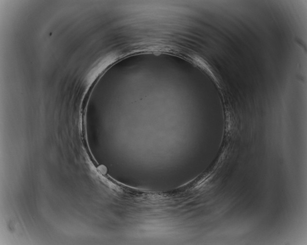 X0000100951095200806241457