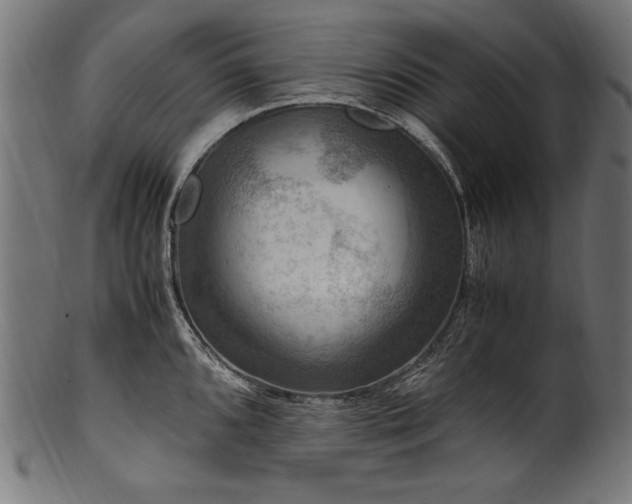 X0000100951096200806241457