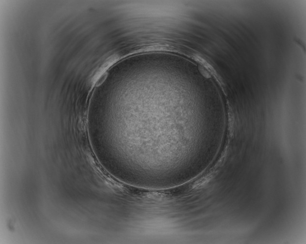 X0000100951097200806241457