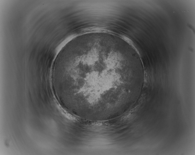 X0000100951098200806241457