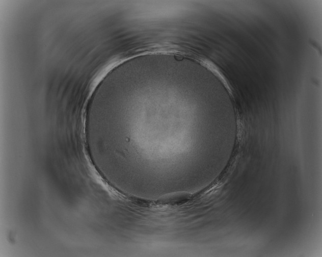 X0000100951099200806241457