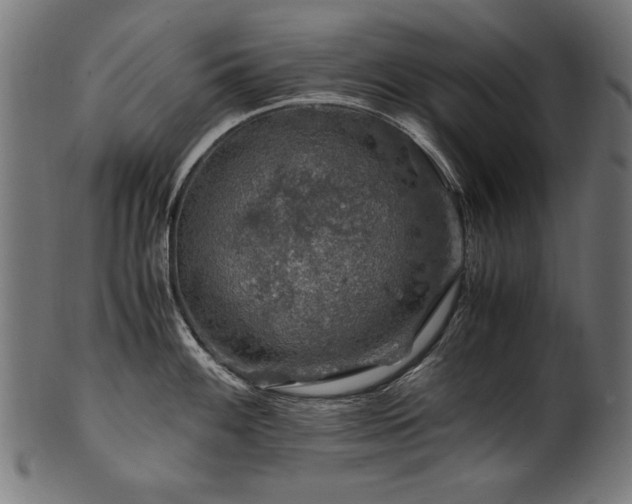 X0000100951100200806241457
