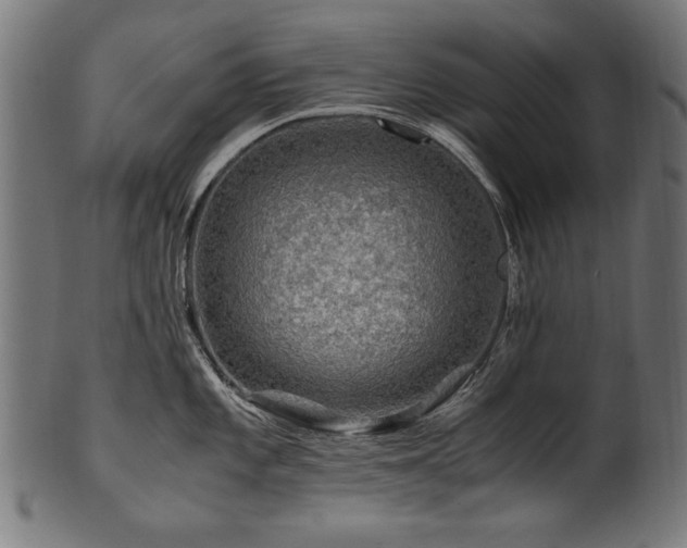 X0000100951101200806241457