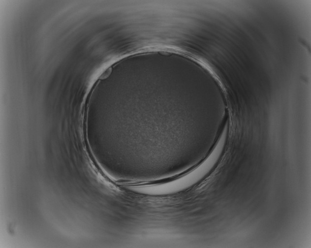 X0000100951102200806241457