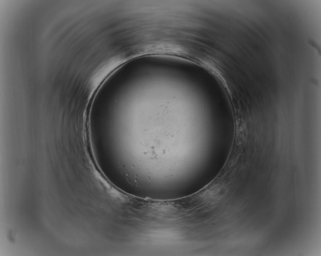 X0000100951103200806241457
