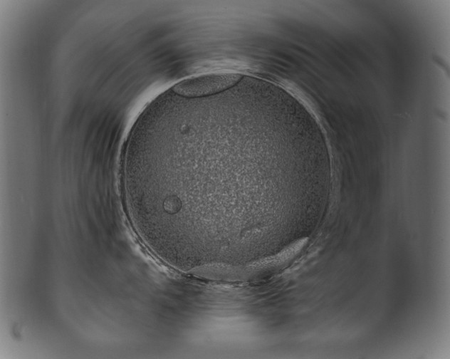 X0000100951104200806241457