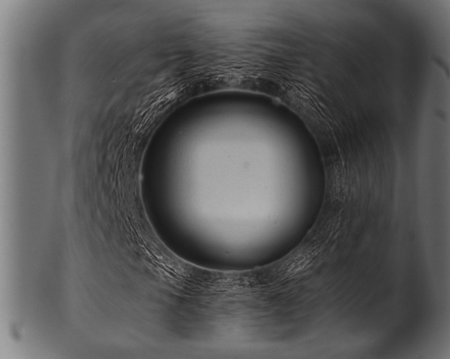 X0000100951105200806241457