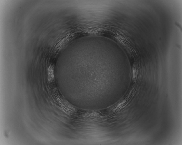 X0000100951106200806241457