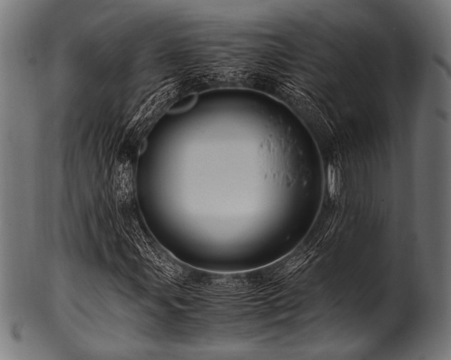 X0000100951107200806241457