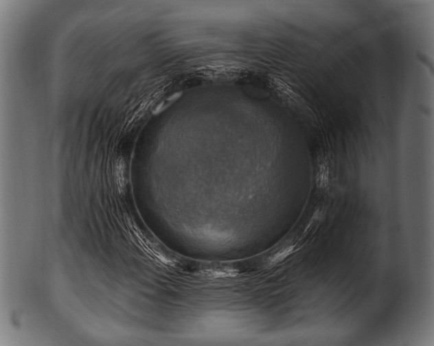 X0000100951108200806241457
