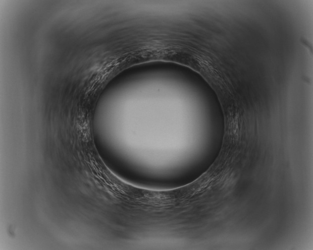 X0000100951109200806241457