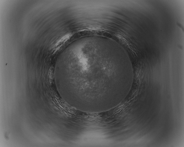 X0000100951110200806241457