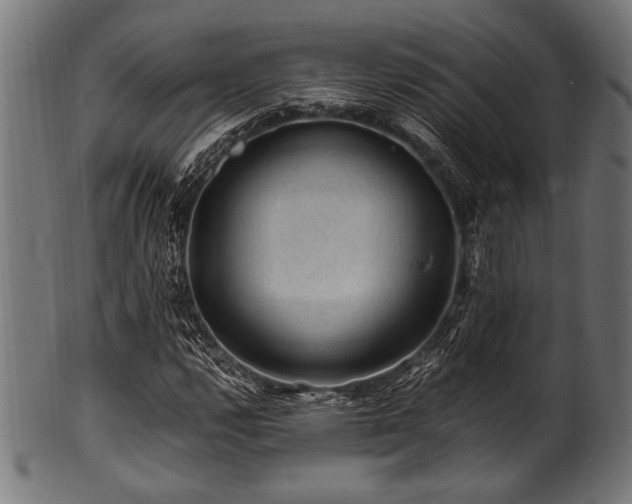 X0000100951112200806241457