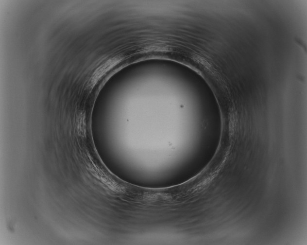 X0000100951113200806241457