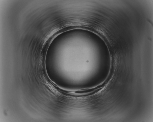 X0000100951114200806241457