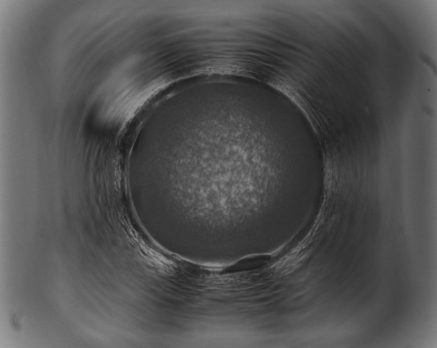 X0000100951115200806241457