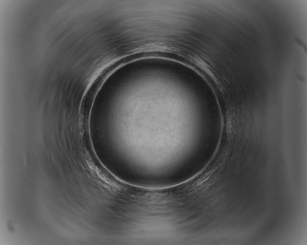 X0000100951116200806241457
