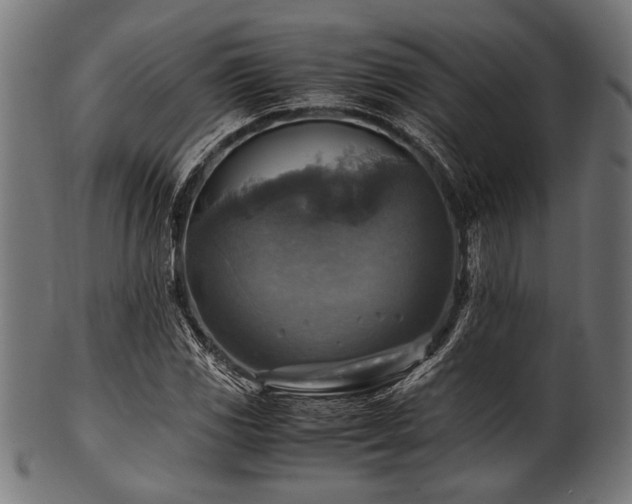 X0000100951117200806241457