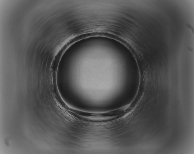X0000100951118200806241457