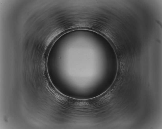 X0000100951119200806241457