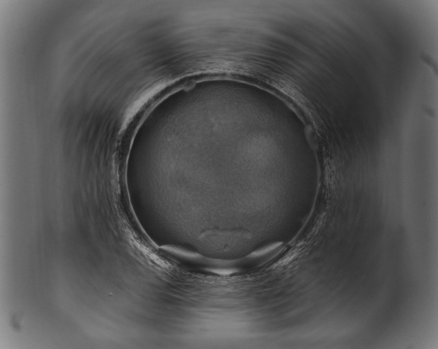 X0000100951120200806241457