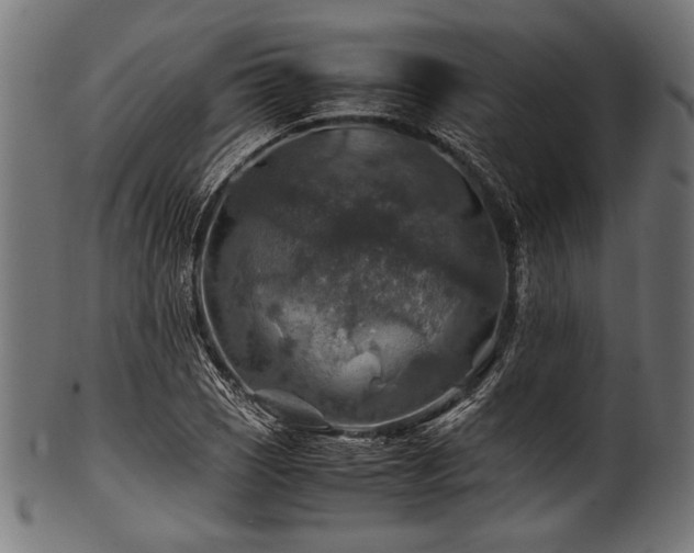 X0000100951121200806241457