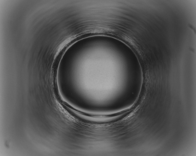 X0000100951122200806241457