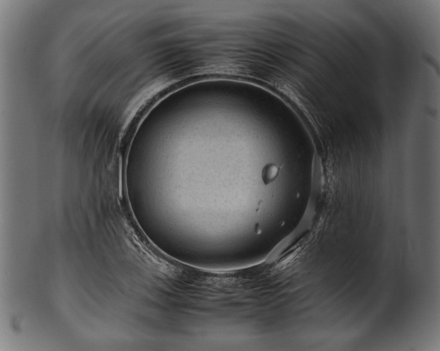 X0000100951123200806241457