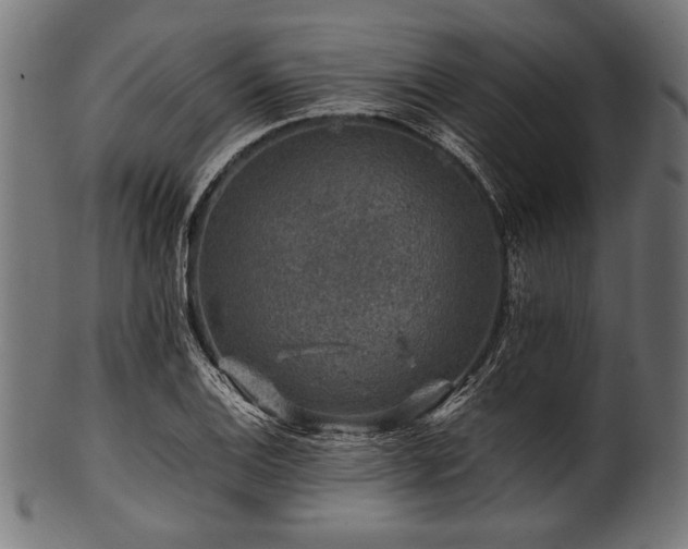 X0000100951124200806241457